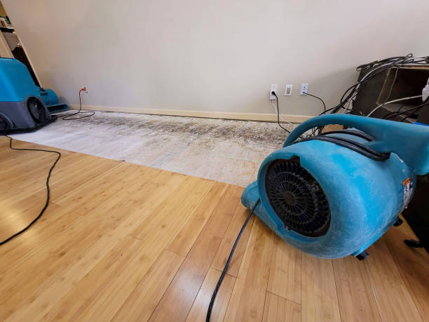 Professional Sewage Cleanup technician working in East Hampton, NY
